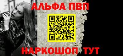 спиды Гай