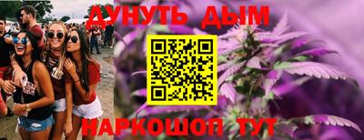 спиды Гай