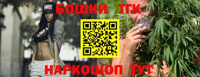 спиды Гай