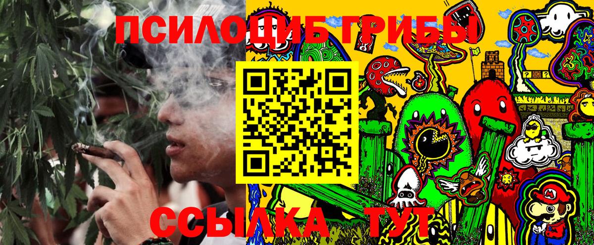 Псилоцибиновые грибы GOLDEN TEACHER Мценск