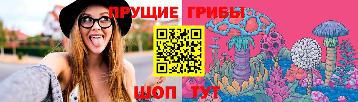 Псилоцибиновые грибы Psilocybine cubensis  Вход с VPN  Мценск 